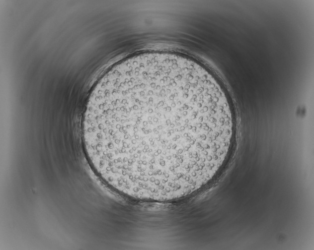 X0000114021041200911131222