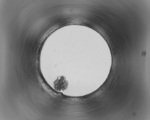 X0000114021042200911131222