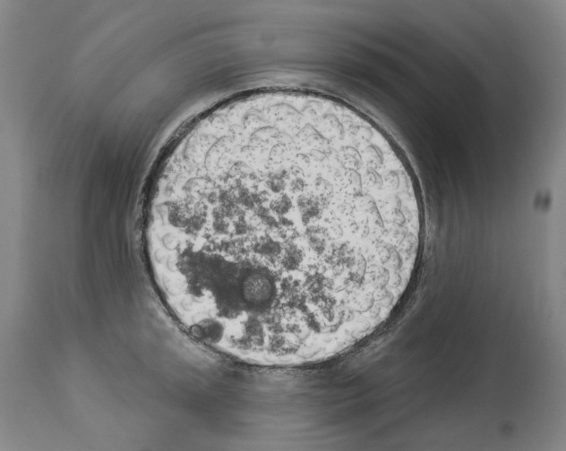 X0000114021045200911131222