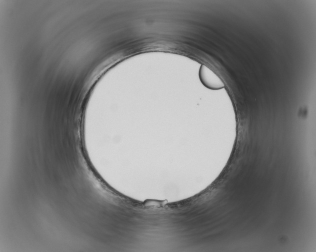 X0000114021050200911131222