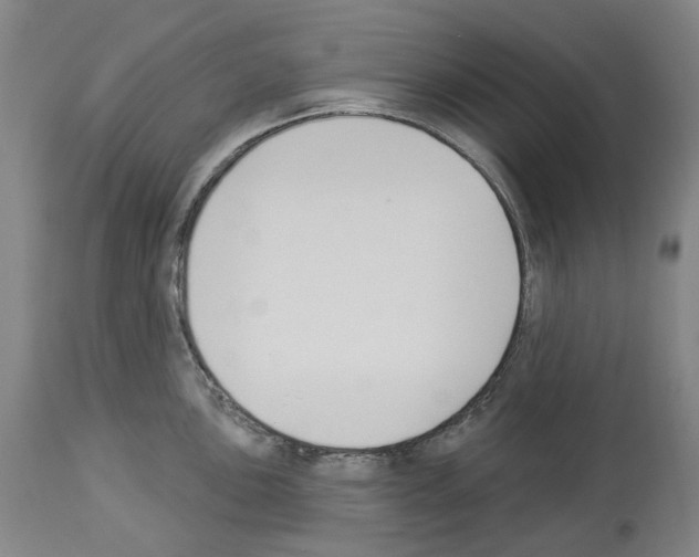 X0000114021051200911131222