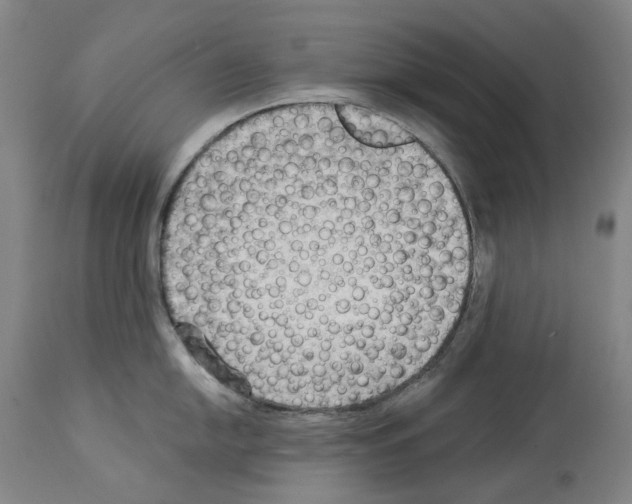 X0000114021054200911131222