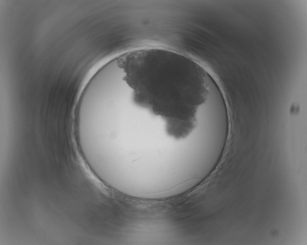 X0000114021056200911131222