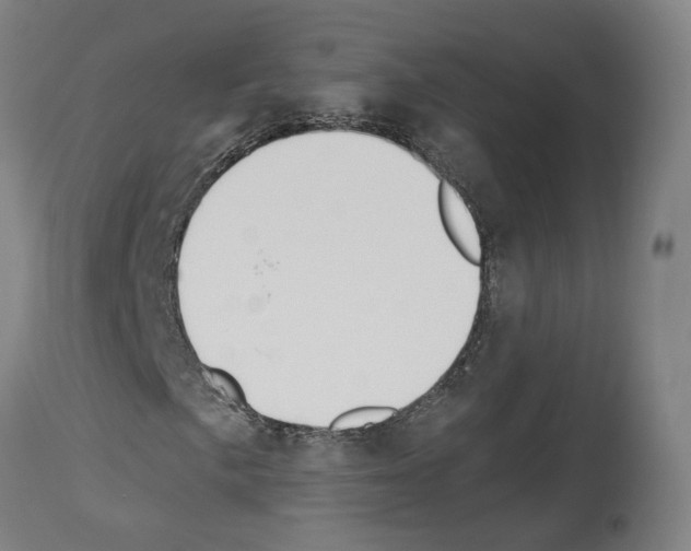 X0000114021057200911131221