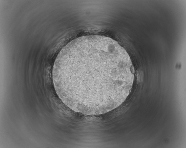 X0000114021059200911131221