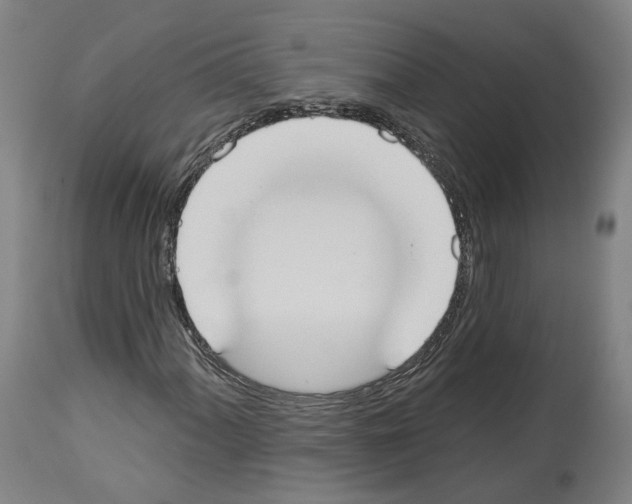 X0000114021060200911131221