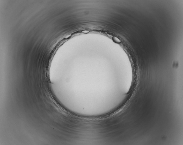 X0000114021065200911131221