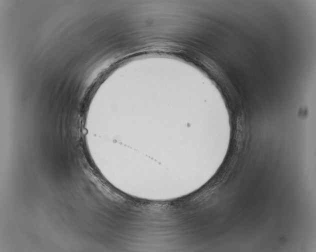 X0000114021067200911131221