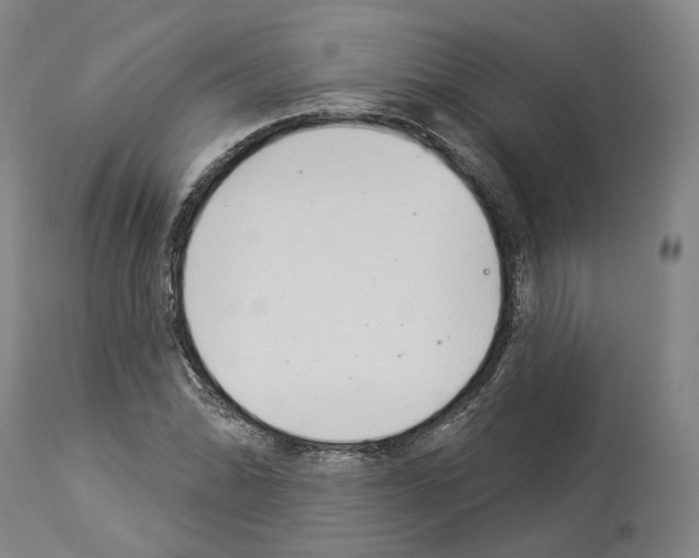 X0000114021070200911131221