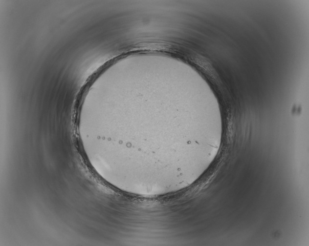 X0000114021071200911131221