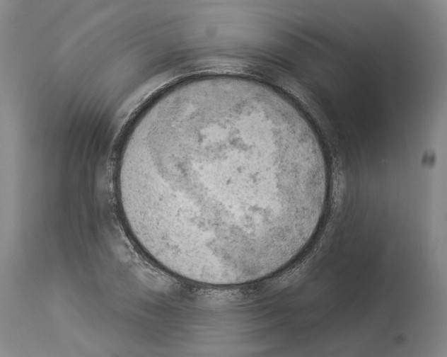 X0000114021074200911131221