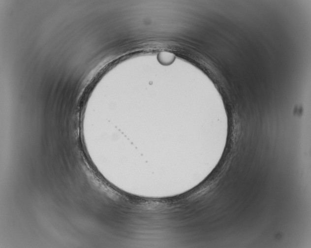 X0000114021075200911131221