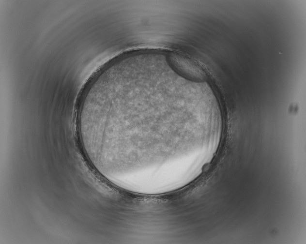 X0000114021077200911131221