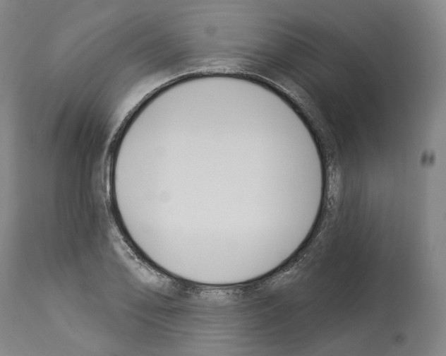 X0000114021078200911131221