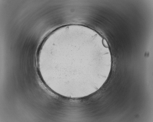 X0000114021080200911131221