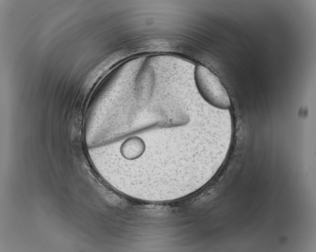 X0000114021081200911131221