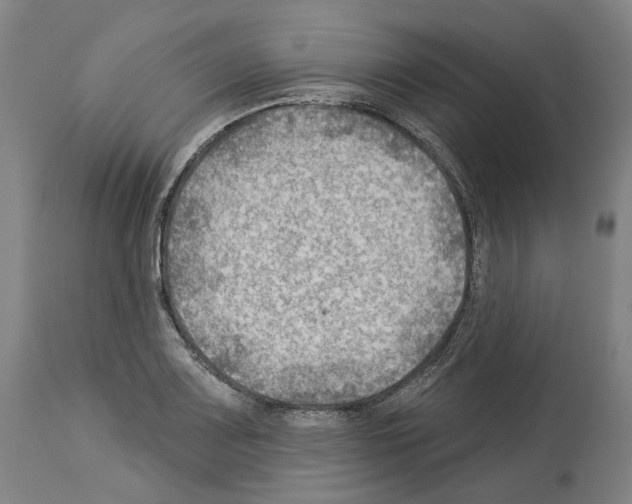 X0000114021083200911131221