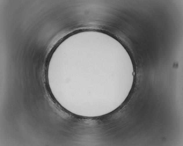 X0000114021085200911131221