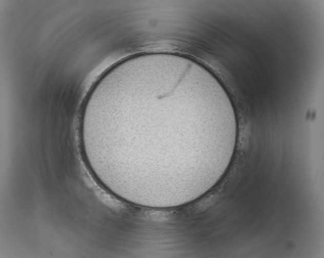 X0000114021086200911131221