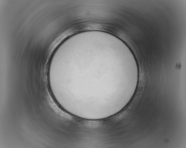 X0000114021090200911131221