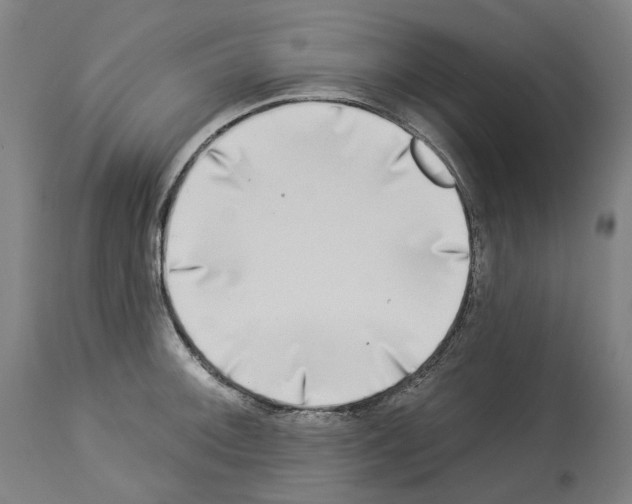 X0000114021092200911131221