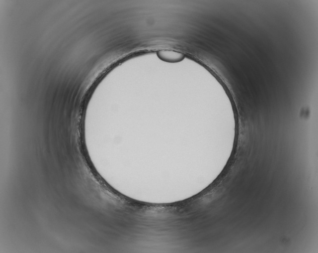 X0000114021093200911131221