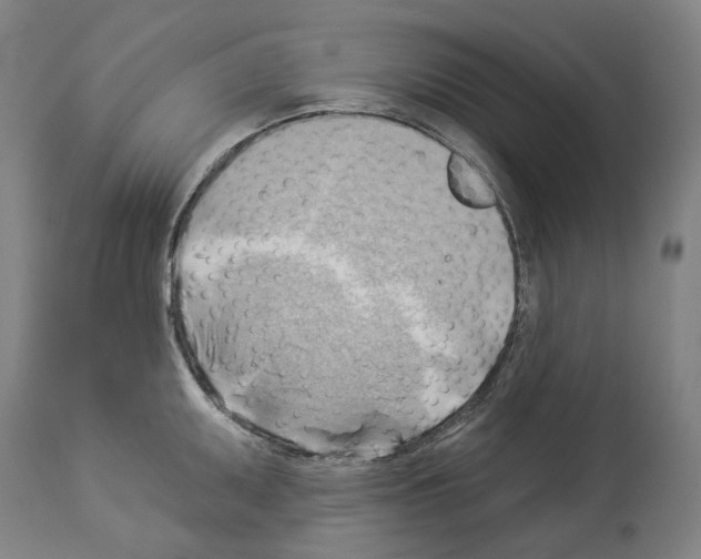 X0000114021095200911131221