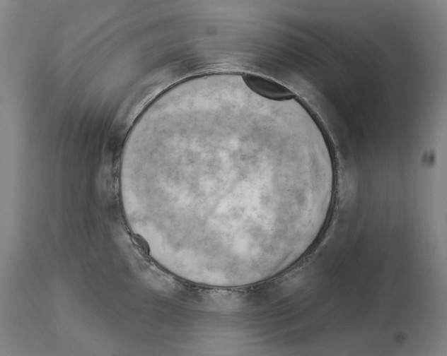 X0000114021097200911131221