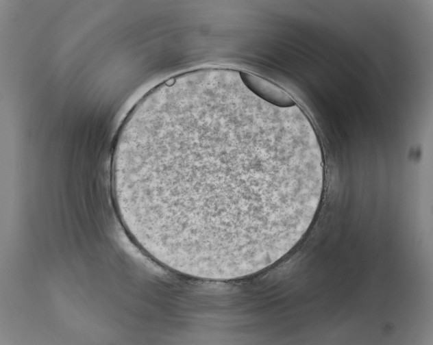 X0000114021100200911131221