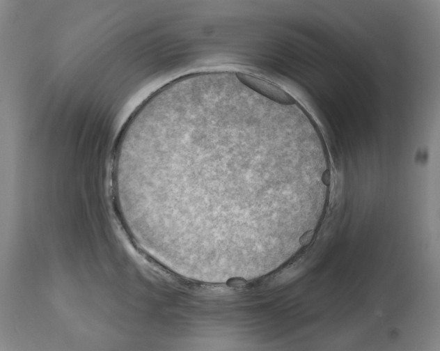 X0000114021101200911131221