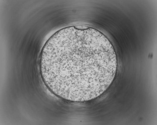 X0000114021102200911131221