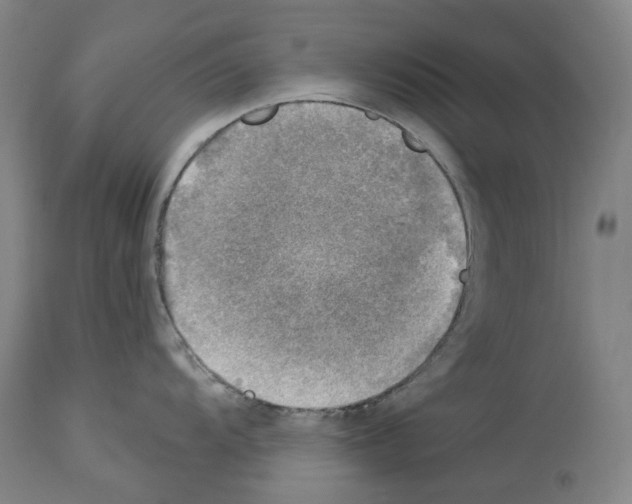 X0000114021104200911131221