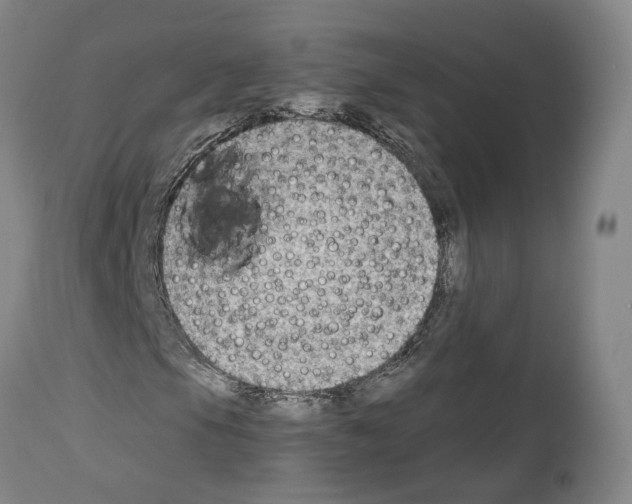 X0000114021105200911131220