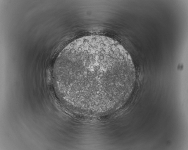 X0000114021106200911131220