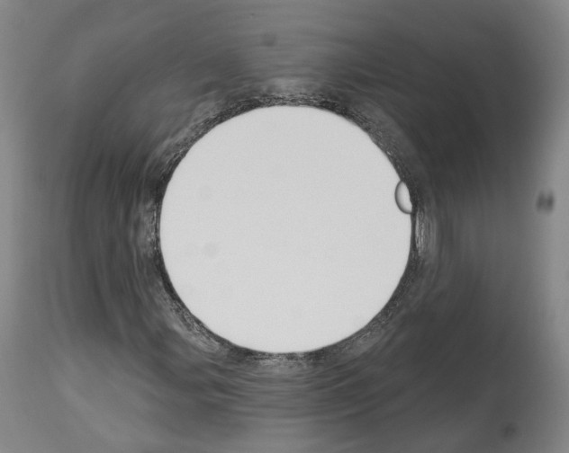 X0000114021107200911131220