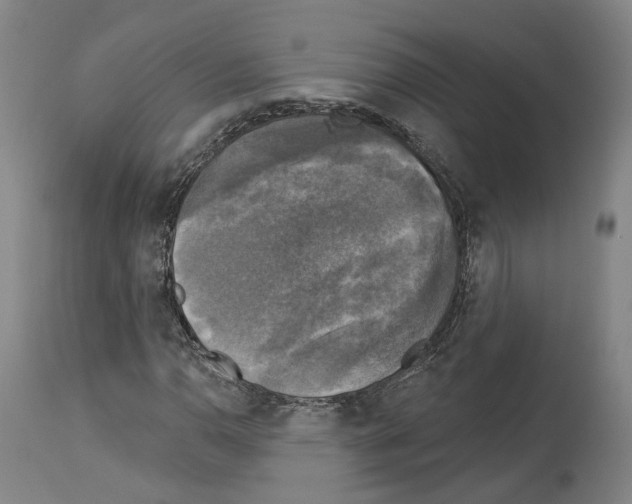 X0000114021110200911131220