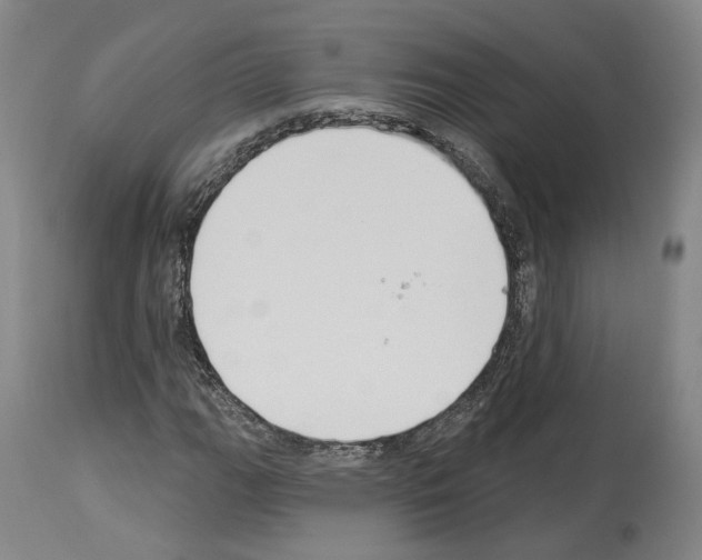 X0000114021111200911131220