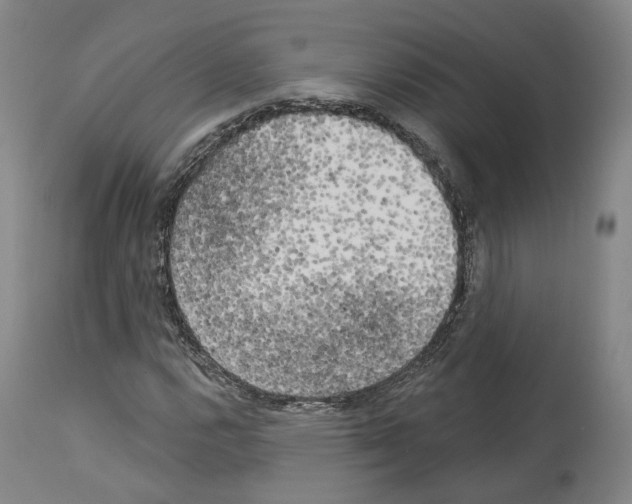 X0000114021112200911131220