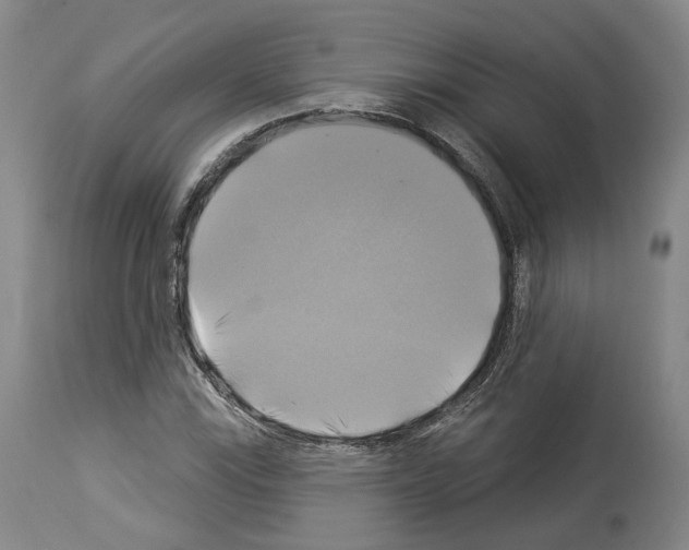 X0000114021115200911131220