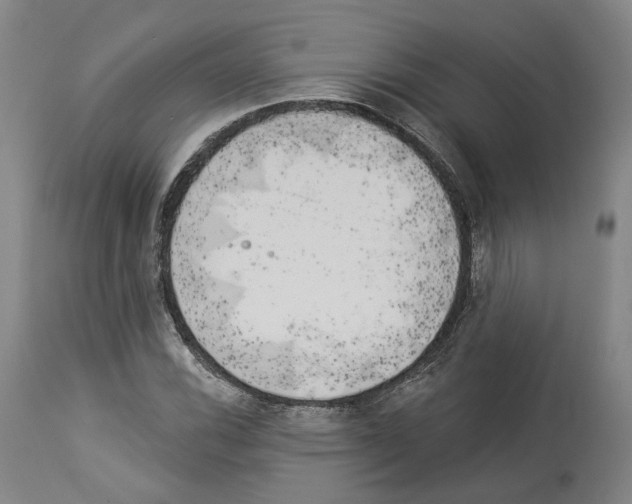 X0000114021116200911131220