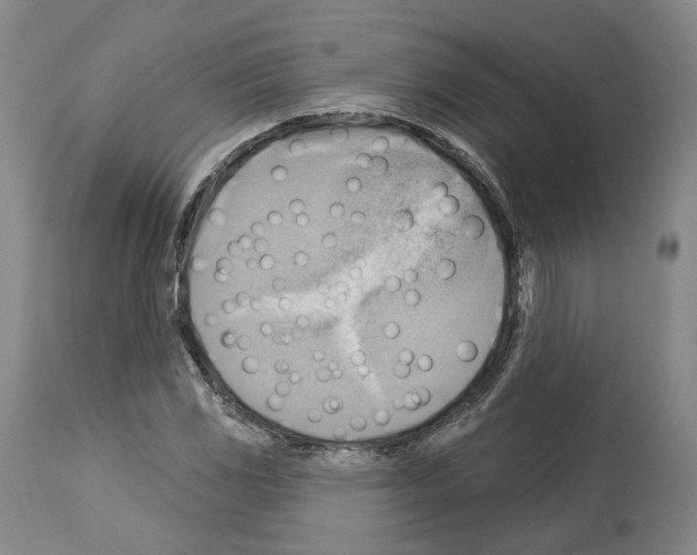 X0000114021117200911131220