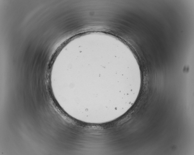 X0000114021119200911131220