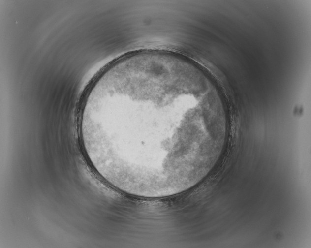 X0000114021120200911131220