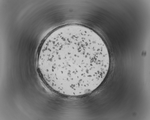 X0000114021127200911131220