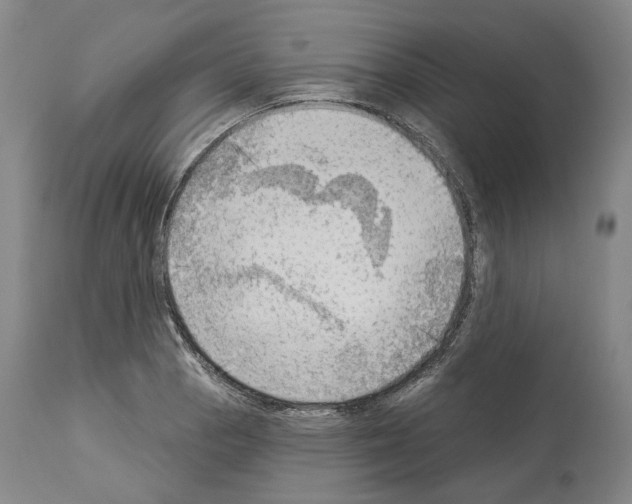 X0000114021129200911131220