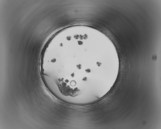 X0000114021132200911131220