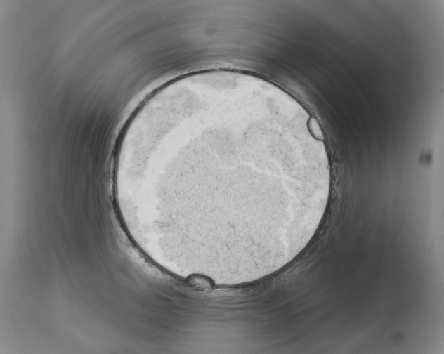 X0000114021140200911131221