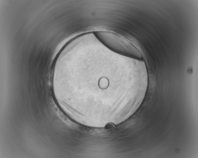 X0000114021148200911131221