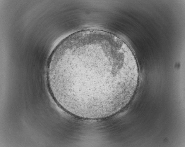 X0000114021149200911131221