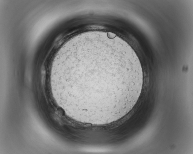 X0000114021151200911131221